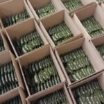 0-02-05-49e7436a1696b721b1d9bd645fbb9833be3f9f45a12b9eaa6410b3dd8d2c7262_f4b2f2b8a50c3b99